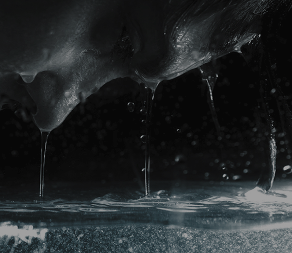 网页免费发手机号